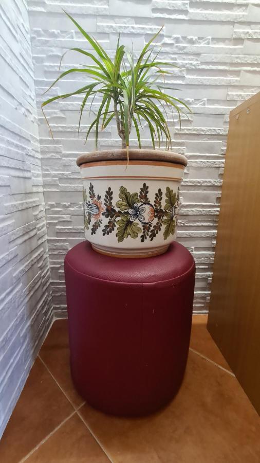 Apartment Akacija Gardens ベオグラード エクステリア 写真